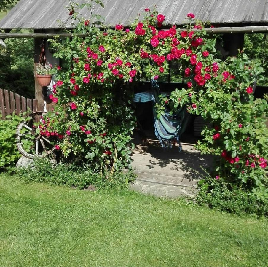 Agroturystyka nad brzegiem Kacwin Zewnętrze zdjęcie